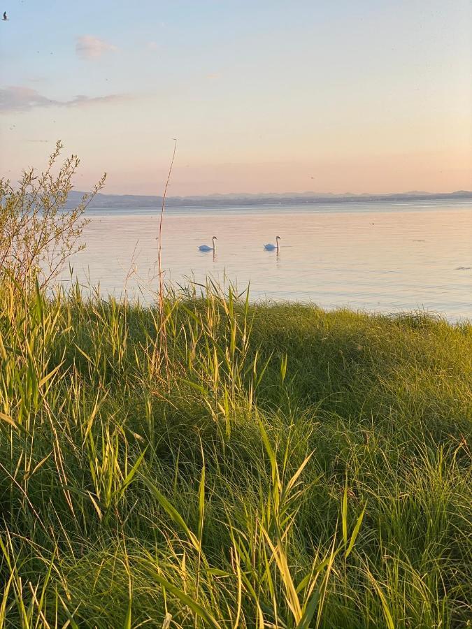 Ferien-Apartment Eisvogel Im Naturschutzgebiet Mit Privatstrand Фрідріхсгафен Екстер'єр фото