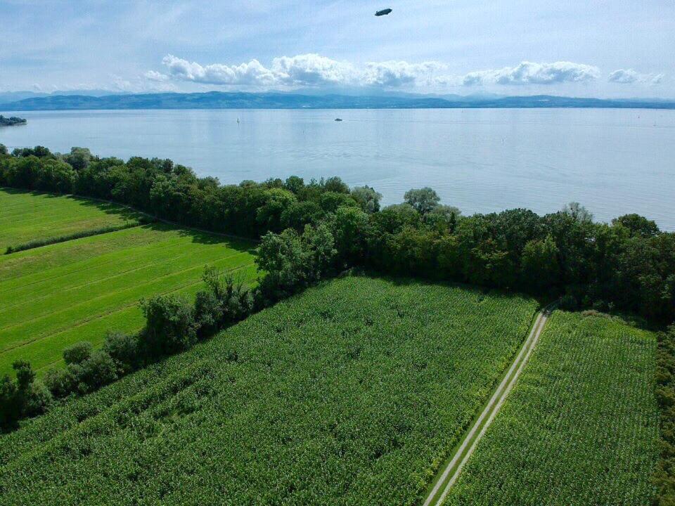 Ferien-Apartment Eisvogel Im Naturschutzgebiet Mit Privatstrand Фрідріхсгафен Екстер'єр фото