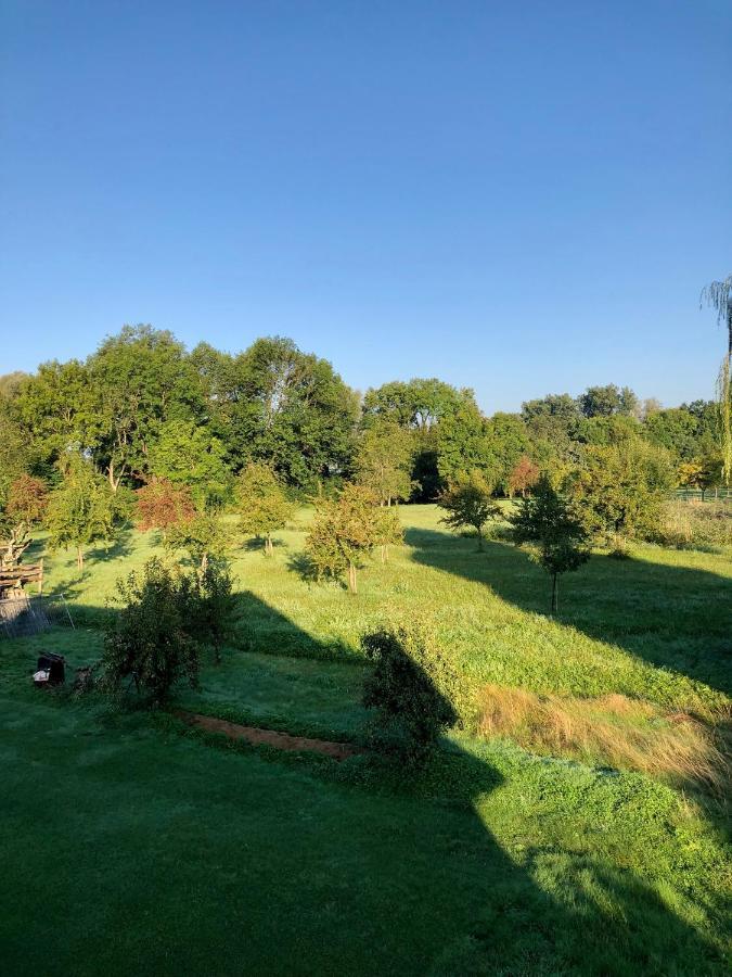Ferien-Apartment Eisvogel Im Naturschutzgebiet Mit Privatstrand Фрідріхсгафен Екстер'єр фото